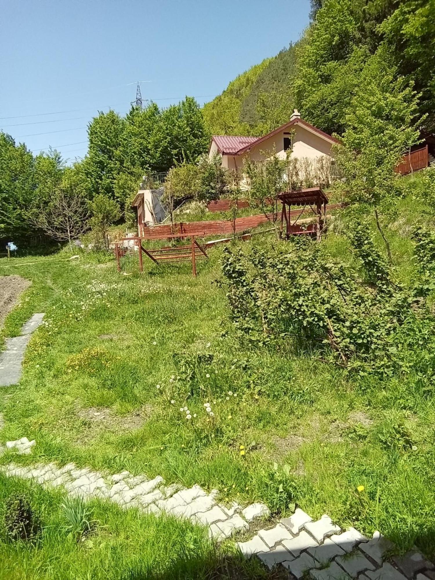Casa Ozon Hotel Vulcan  Екстериор снимка
