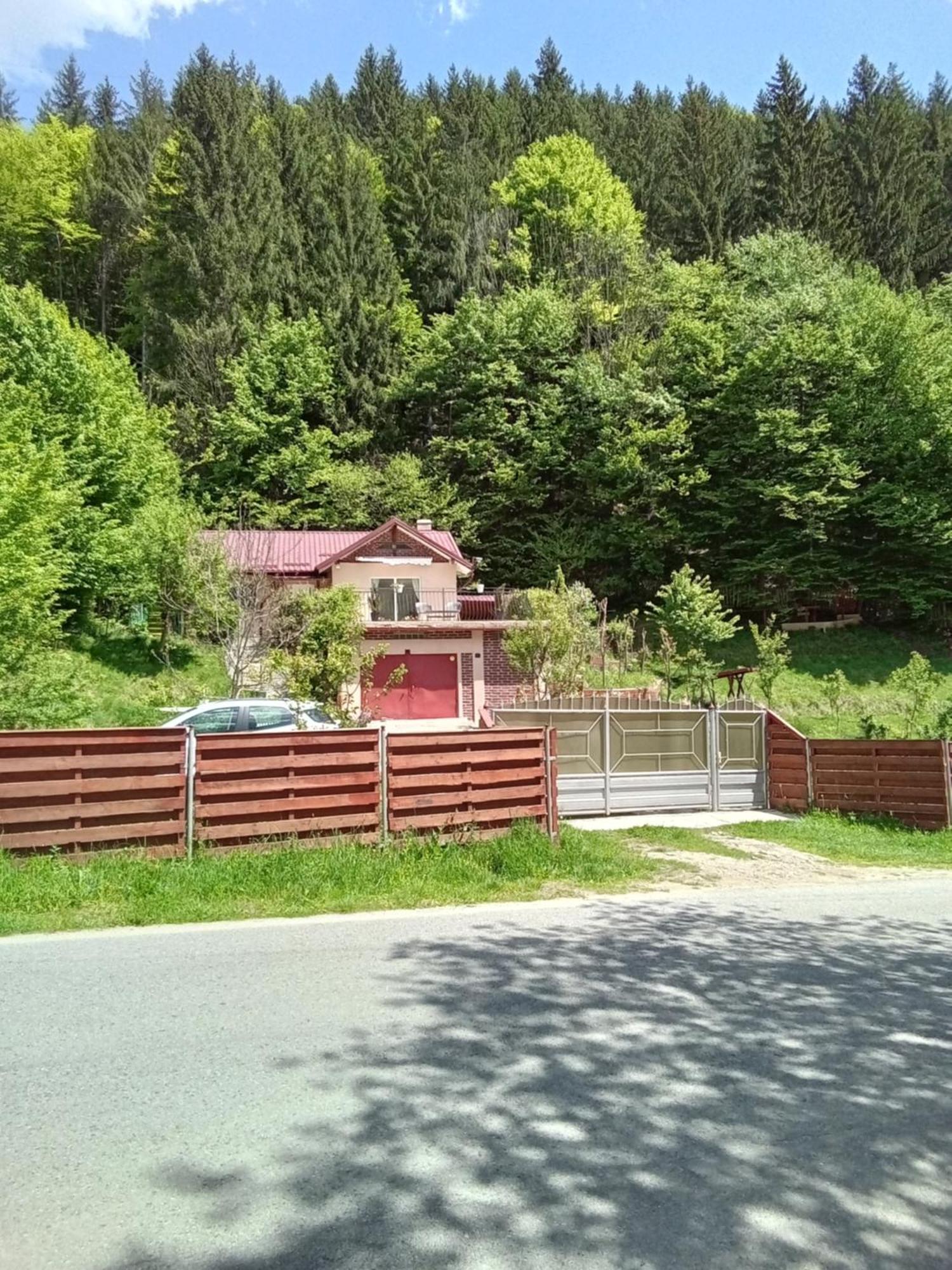Casa Ozon Hotel Vulcan  Екстериор снимка