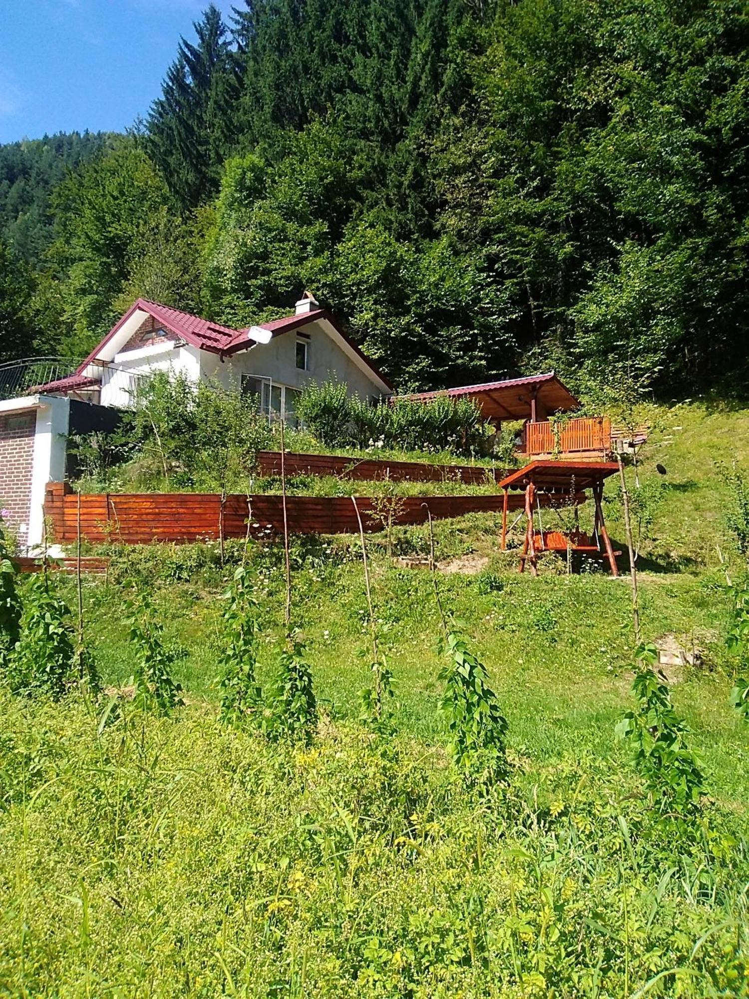 Casa Ozon Hotel Vulcan  Екстериор снимка