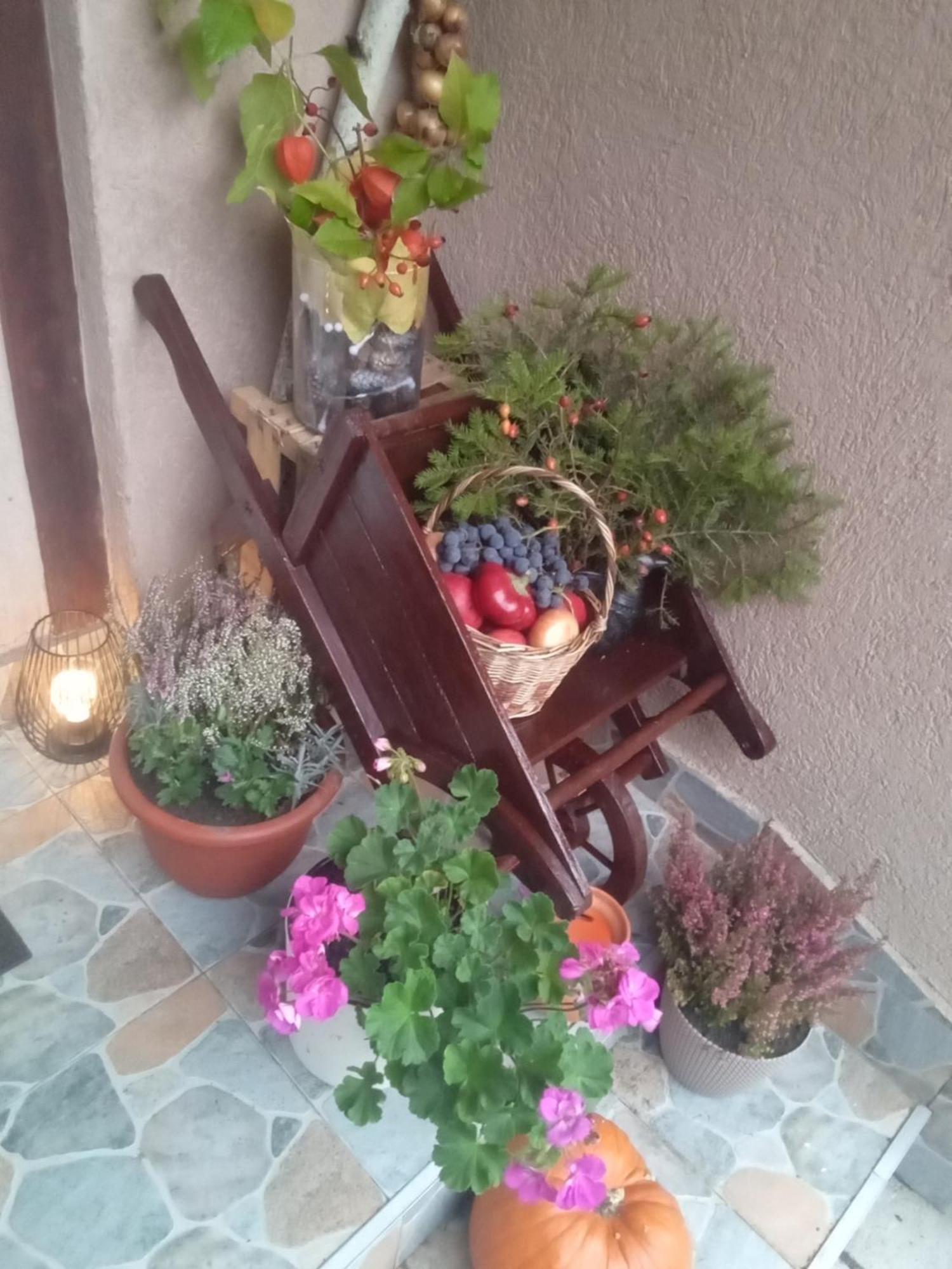 Casa Ozon Hotel Vulcan  Екстериор снимка
