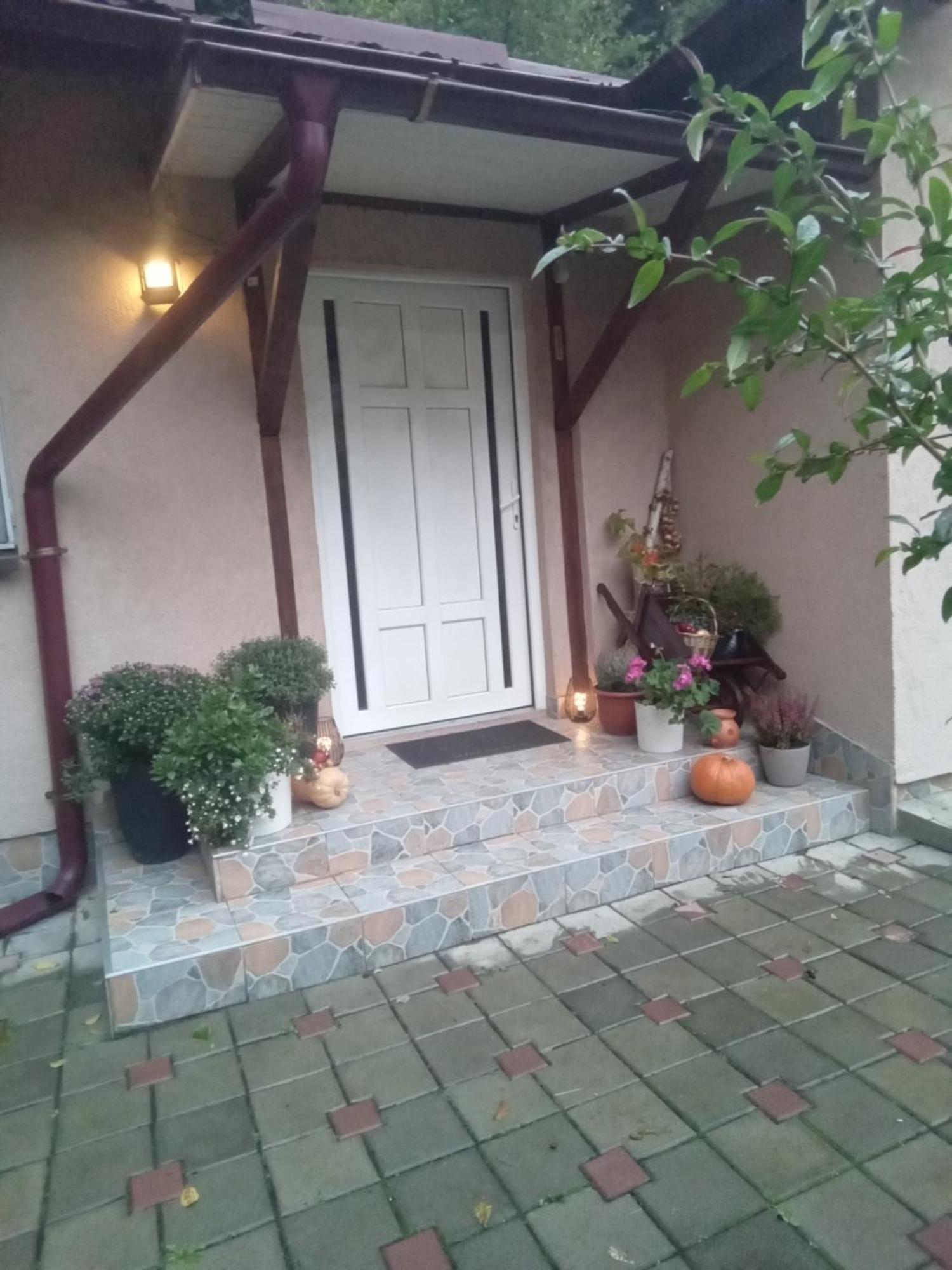 Casa Ozon Hotel Vulcan  Екстериор снимка