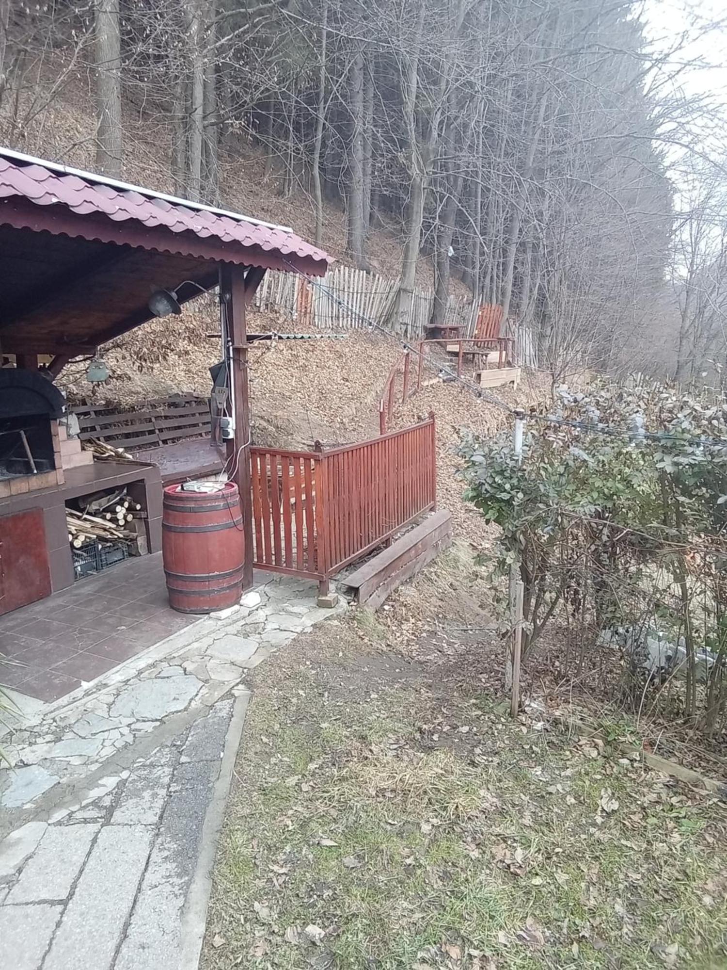 Casa Ozon Hotel Vulcan  Екстериор снимка