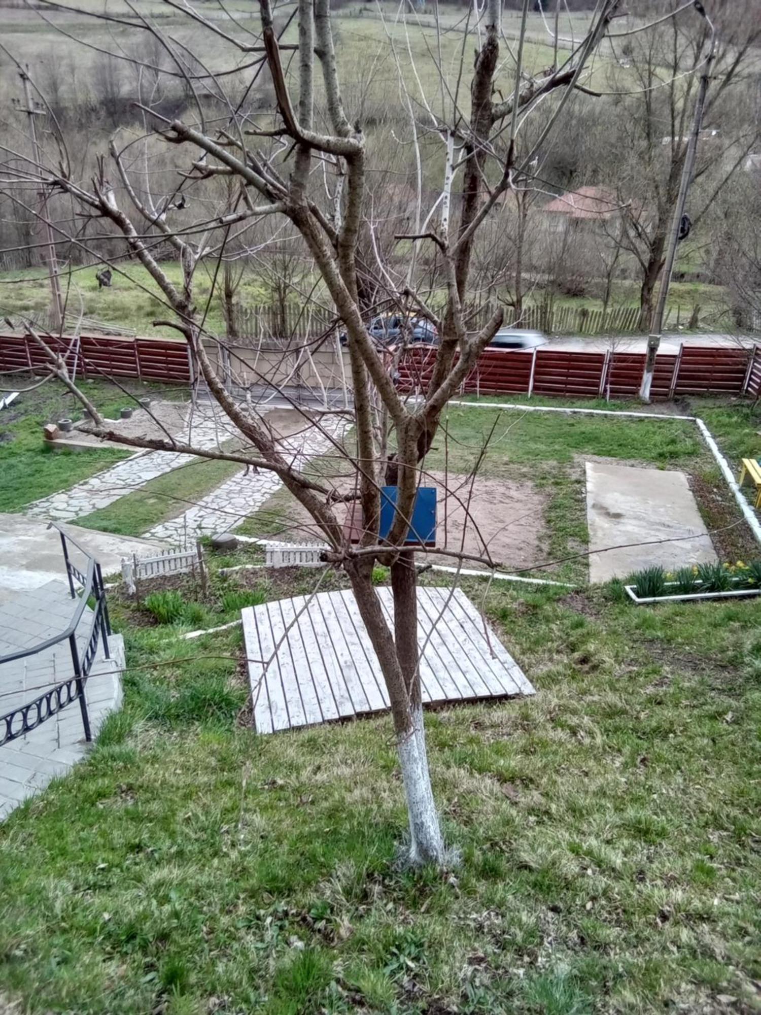 Casa Ozon Hotel Vulcan  Екстериор снимка