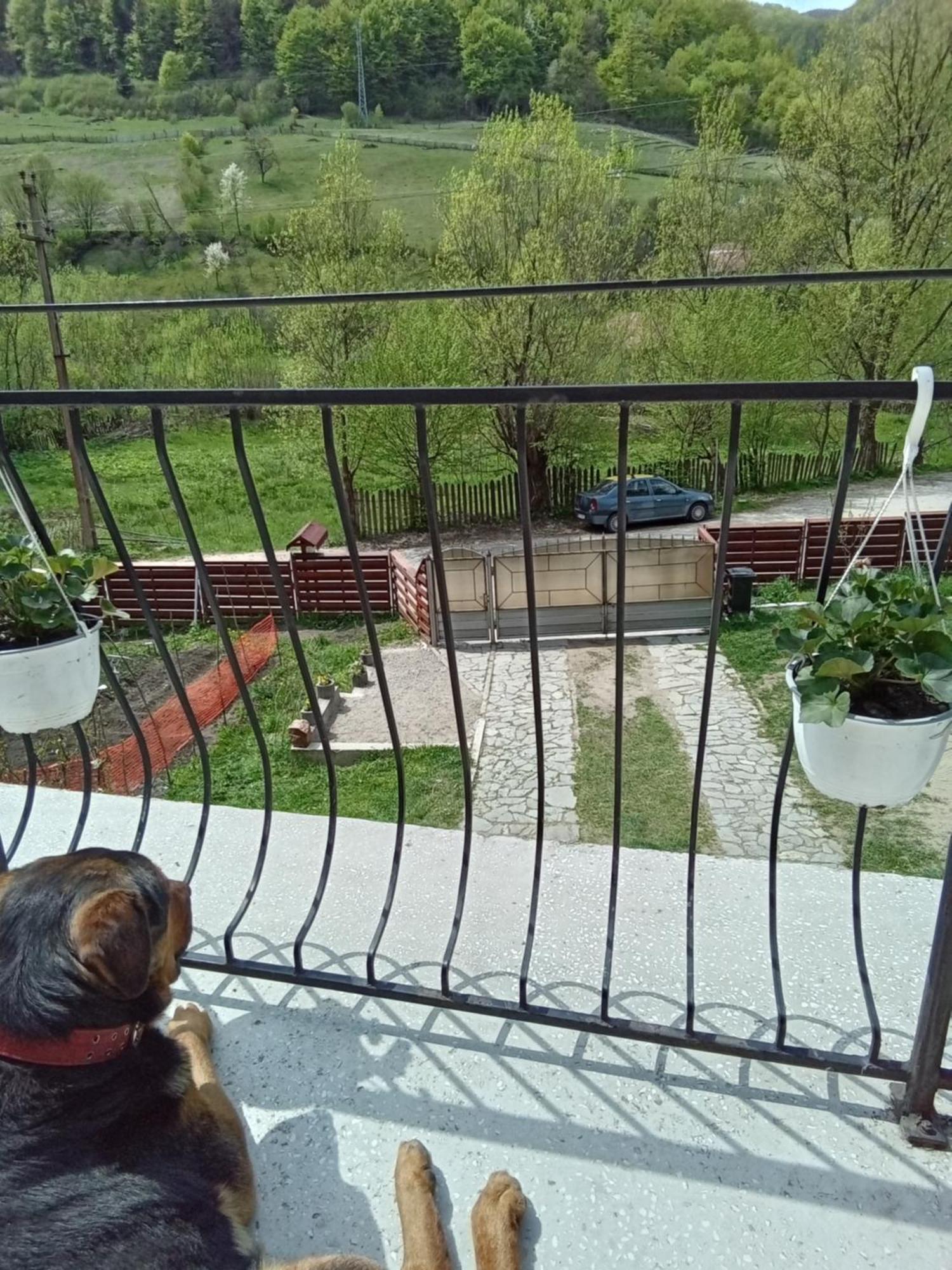 Casa Ozon Hotel Vulcan  Екстериор снимка